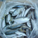 Qatar lifts temporary ban on Indian Frozen Seafood