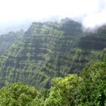 MoEFCC holds meeting with 6 states to review ESA demarcation progess in Western Ghats
