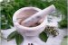 DRDO developed poly-herbal medicine to treat Leucoderma