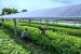 Gujarat to become 1st state to launch ‘Agro-Solar Policy’