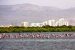 Maharashtra government declares Thane creek area as 'Flamingo Sanctuary'