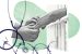 Various Issues related to Right to Privacy