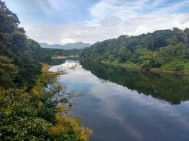 Perumanna Grama Panchayat becomes first Panchayat in Kerala to declare a Water Policy