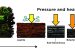 Coal formation
