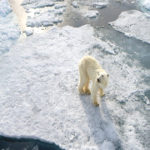 India’s First Winter Expedition to Arctic
