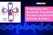 Pulmonary and Systematic Circulation, Systole and Diastole; Arteries & Veins