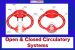 Open & Closed Circulatory Systems