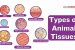 Types of Animal Tissues