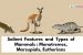 Salient Features and Types of Mammals: Monotremes, Marsupials, Eutherians