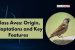Class Aves: Origin, Adaptations and Key Features