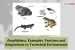 Amphibians: Examples, Features and Adaptations to Terrestrial Environment
