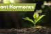 Plant Hormones