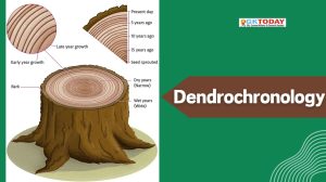 What is dendrochronolgy?