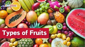 Types of Fruits