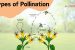Types of Pollination
