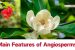 Main Features of Angiosperms