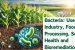 Bacteria: Use in Industry, Food Processing, Soil Health and Bioremediation