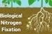 Biological Nitrogen Fixation