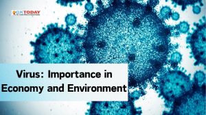 Virus: Importance in Economy and Environment
