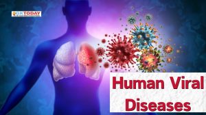 Human Viral Diseases