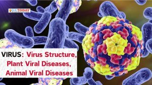 Virus: Virus Structure, Plant Viral Diseases, Animal Viral Diseases