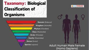Taxonomy: Biological Classification of Organisms