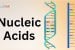 Nucleic Acids