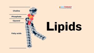 Lipids