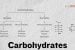 Carbohydrates