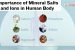 Importance of Mineral Salts and Ions in Human Body