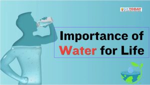 Importance of Water for Life