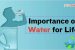 Importance of Water for Life