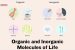 Organic and Inorganic Molecules of Life