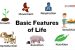 Basic Features of Life