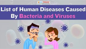List of Human Diseases Caused By Bacteria and Viruses