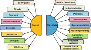 Biodiversity Loss Causes