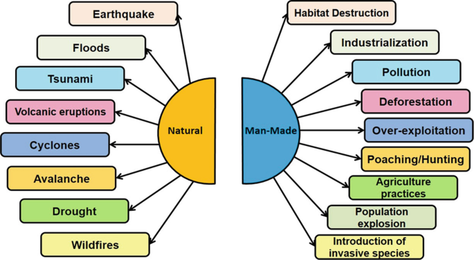 Biodiversity Loss Causes