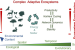 Functions of Biodiversity