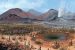Mass Extinctions