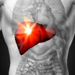 US Researchers discover the function of human appendix