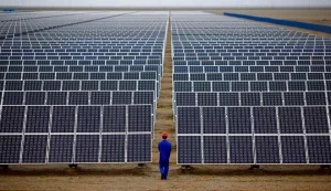 India's Grid-linked solar generation capacity crosses 5,000 MW mark