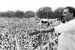 Shetkari Sanghatana: Contribution of Sharad Joshi to Indian agriculture