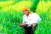 Union Cabinet approves Pradhan Mantri Fasal Bima Yojana