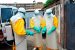 WHO declares end of Ebola outbreak in West Africa