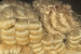 CCEA hikes MSP of raw jute from Rs 2,700 to 3,200 per quintal