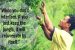 Film on conservation efforts by Nagaland villagers wins award