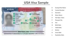 Types of United States Visas