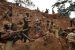 Conflict Minerals