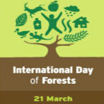 21 March: International Day of Forests
