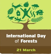 International Day Of Forests Observed On 21 March Gktoday International Day Of Forests Observed On 21 March Gktoday